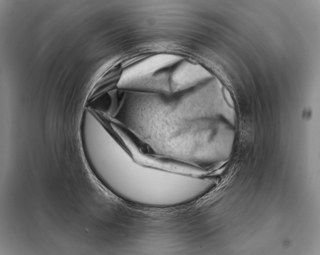 X0000097970946200804211008