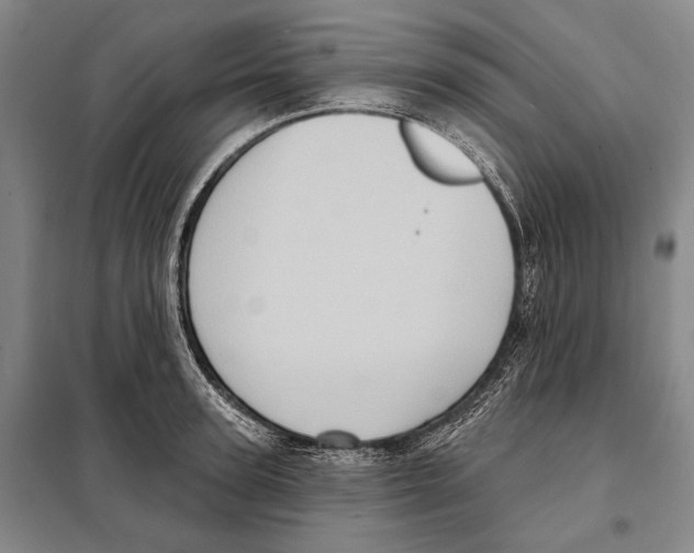 X0000097970947200804211008