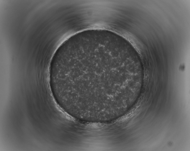 X0000097970950200804211008
