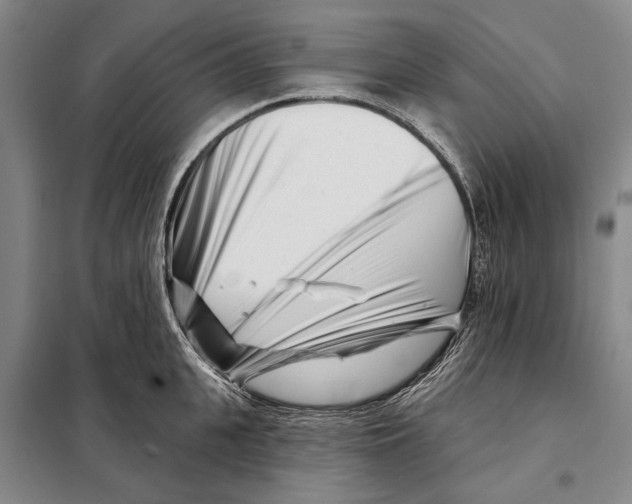 X0000097970951200804211008