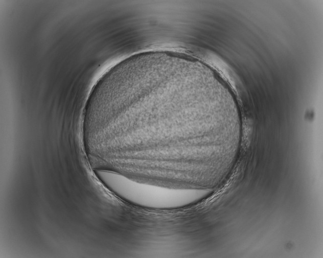 X0000097970952200804211008