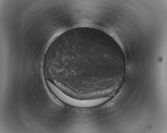 X0000097970954200804211008