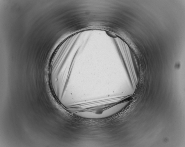 X0000097970955200804211008