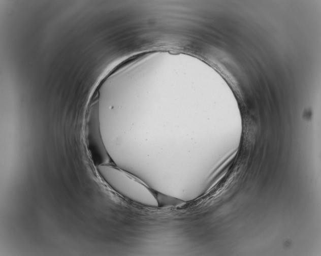X0000097970956200804211008