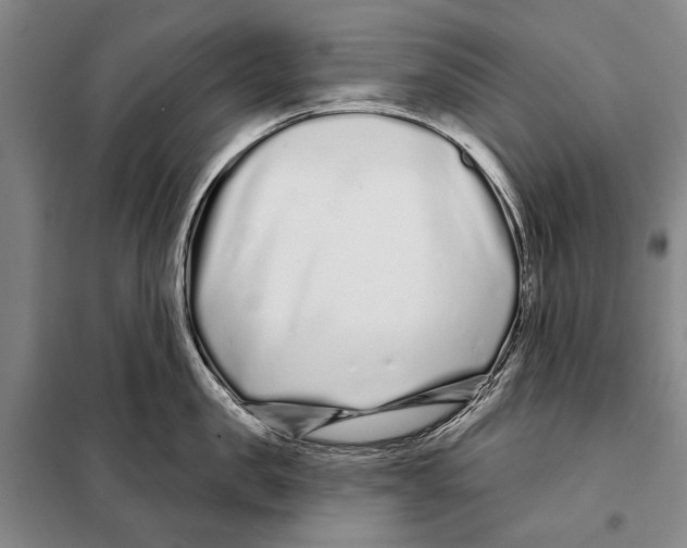 X0000097970957200804211008