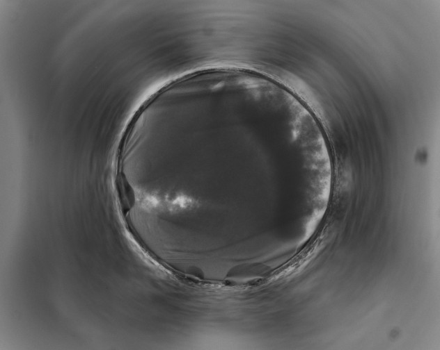 X0000097970958200804211008