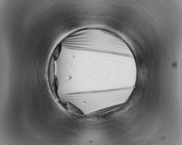 X0000097970959200804211008