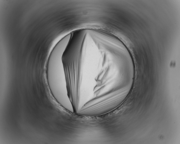 X0000097970960200804211008