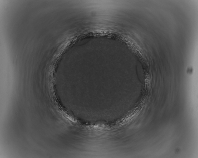 X0000097970961200804211007