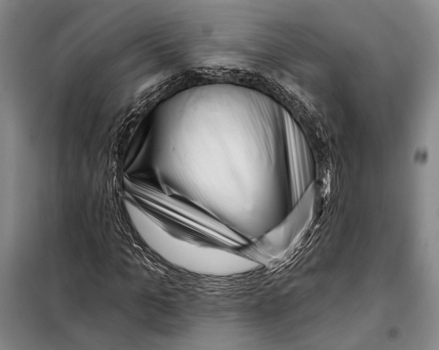 X0000097970965200804211007