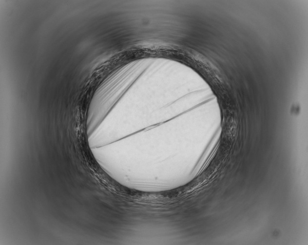X0000097970966200804211007