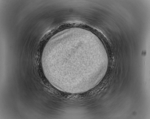X0000097970967200804211007