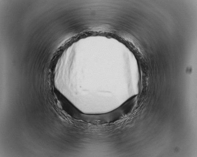 X0000097970968200804211007