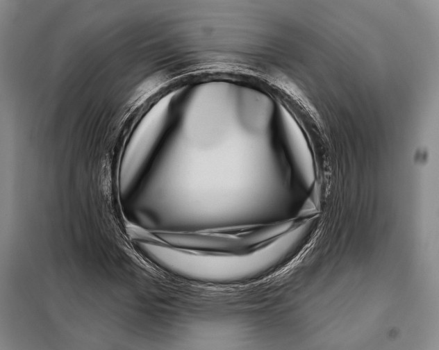 X0000097970969200804211007
