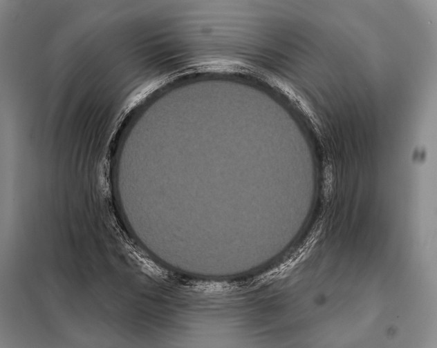 X0000097970970200804211007