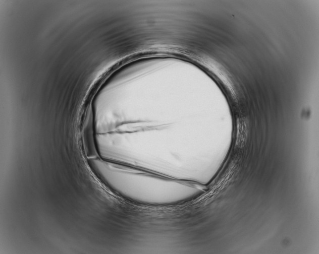 X0000097970972200804211007