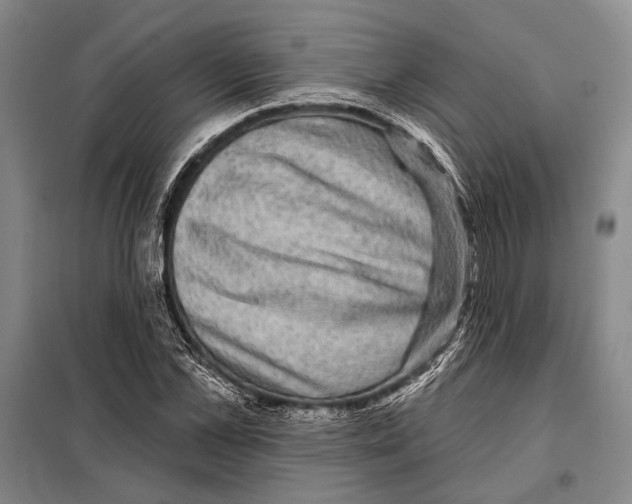 X0000097970973200804211007