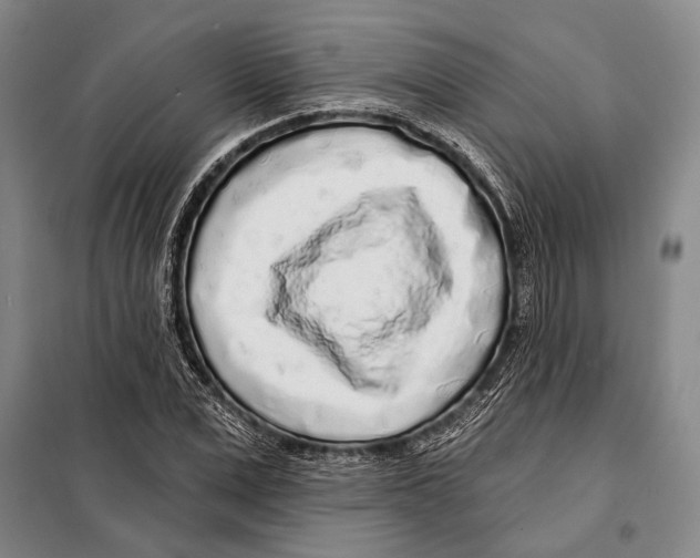 X0000097970975200804211007