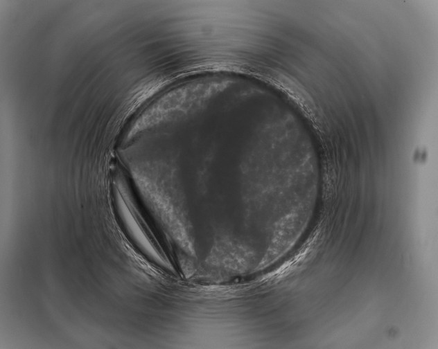 X0000097970977200804211007