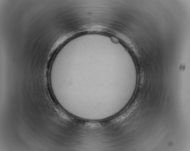 X0000097970978200804211007