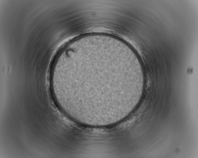 X0000097970979200804211007