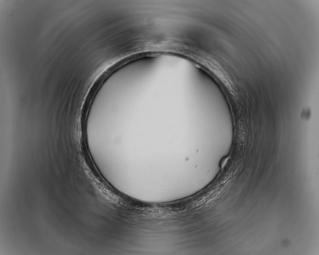 X0000097970980200804211007
