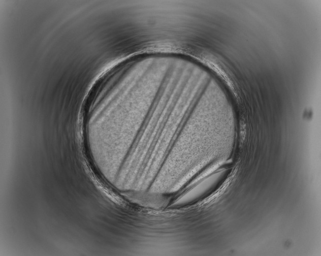 X0000097970981200804211007