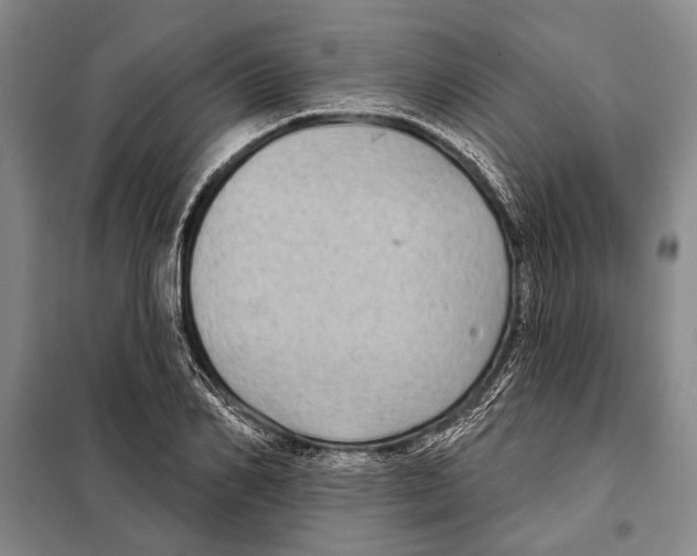 X0000097970982200804211007