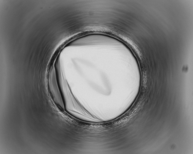 X0000097970983200804211007