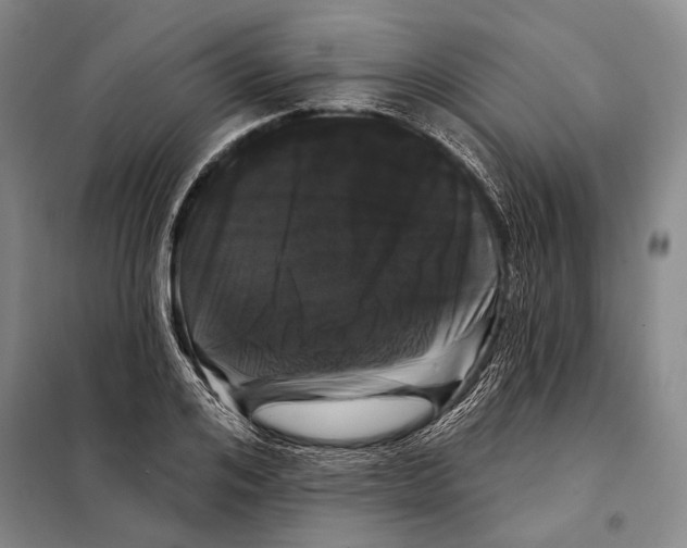 X0000097970984200804211007