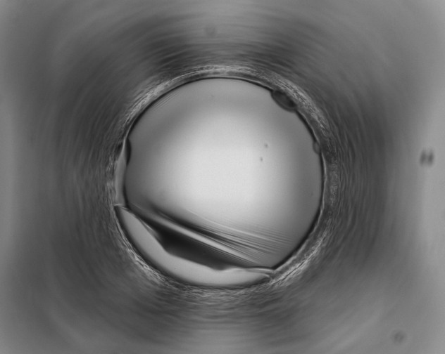 X0000097970985200804211007