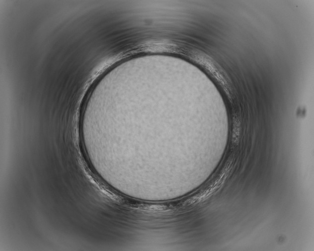 X0000097970986200804211007