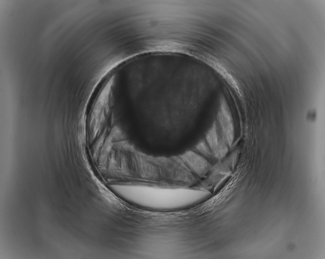 X0000097970988200804211007