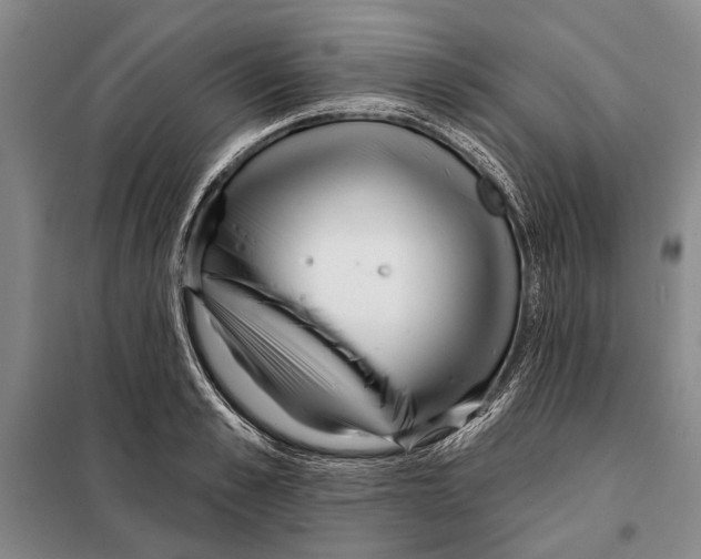 X0000097970989200804211007