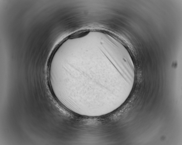 X0000097970990200804211007