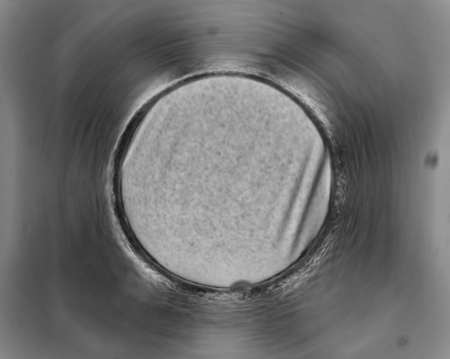 X0000097970991200804211007