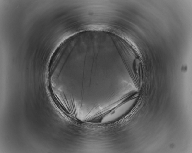 X0000097970992200804211007