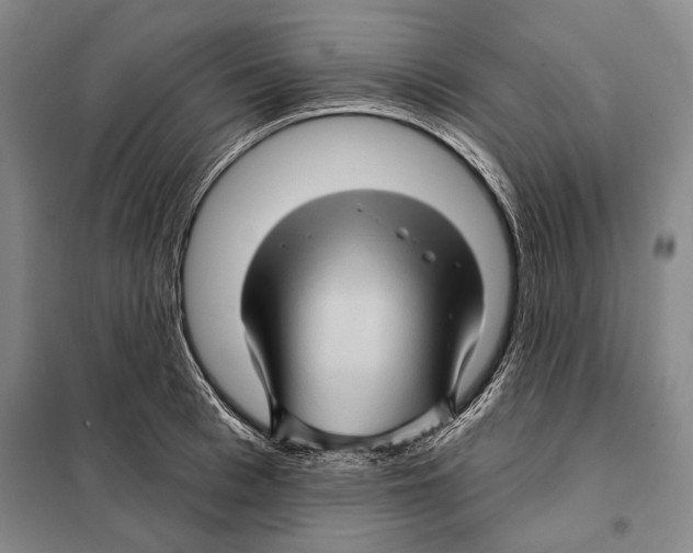 X0000097970993200804211007