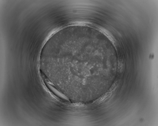 X0000097970994200804211007