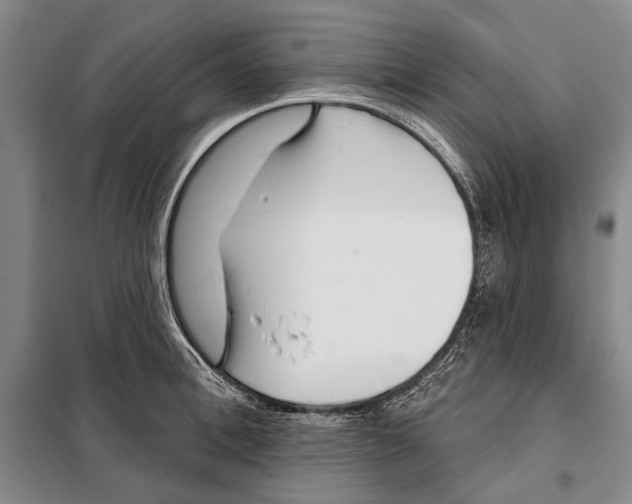 X0000097970996200804211007