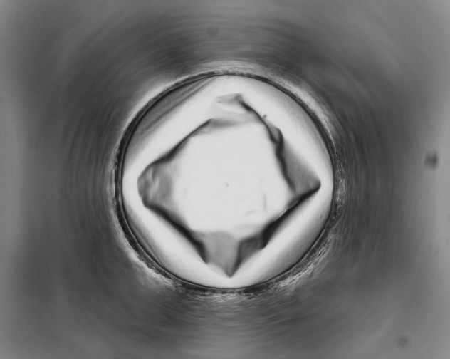 X0000097970999200804211007