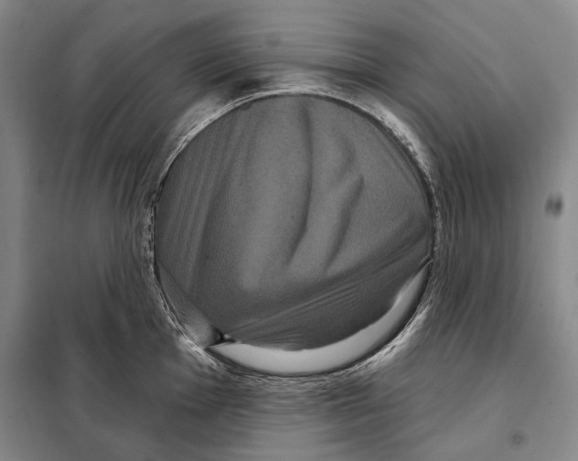 X0000097971001200804211007