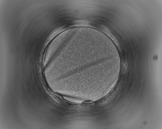 X0000097971002200804211007