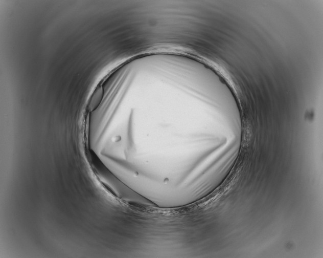 X0000097971003200804211007