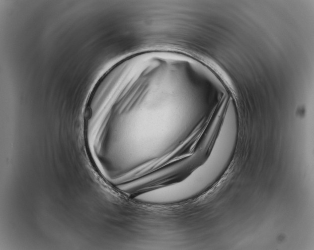 X0000097971004200804211007