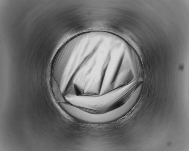 X0000097971005200804211007