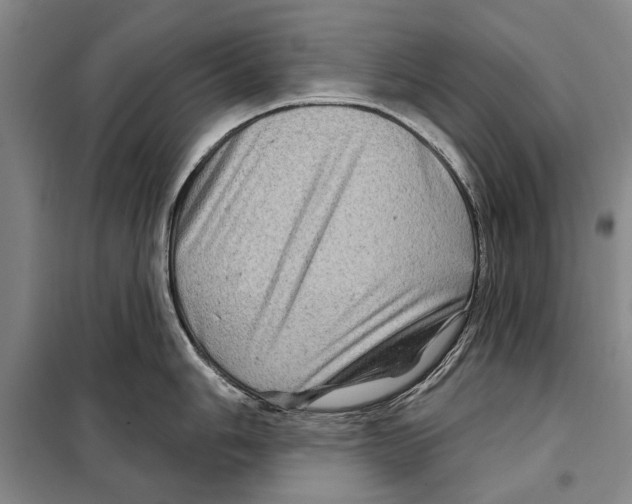 X0000097971006200804211007
