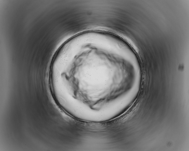 X0000097971007200804211006