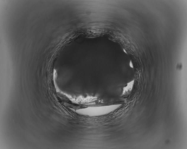 X0000097971009200804211006