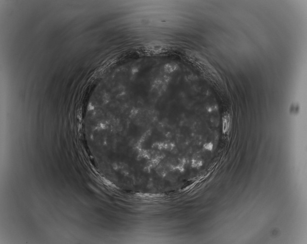 X0000097971011200804211006